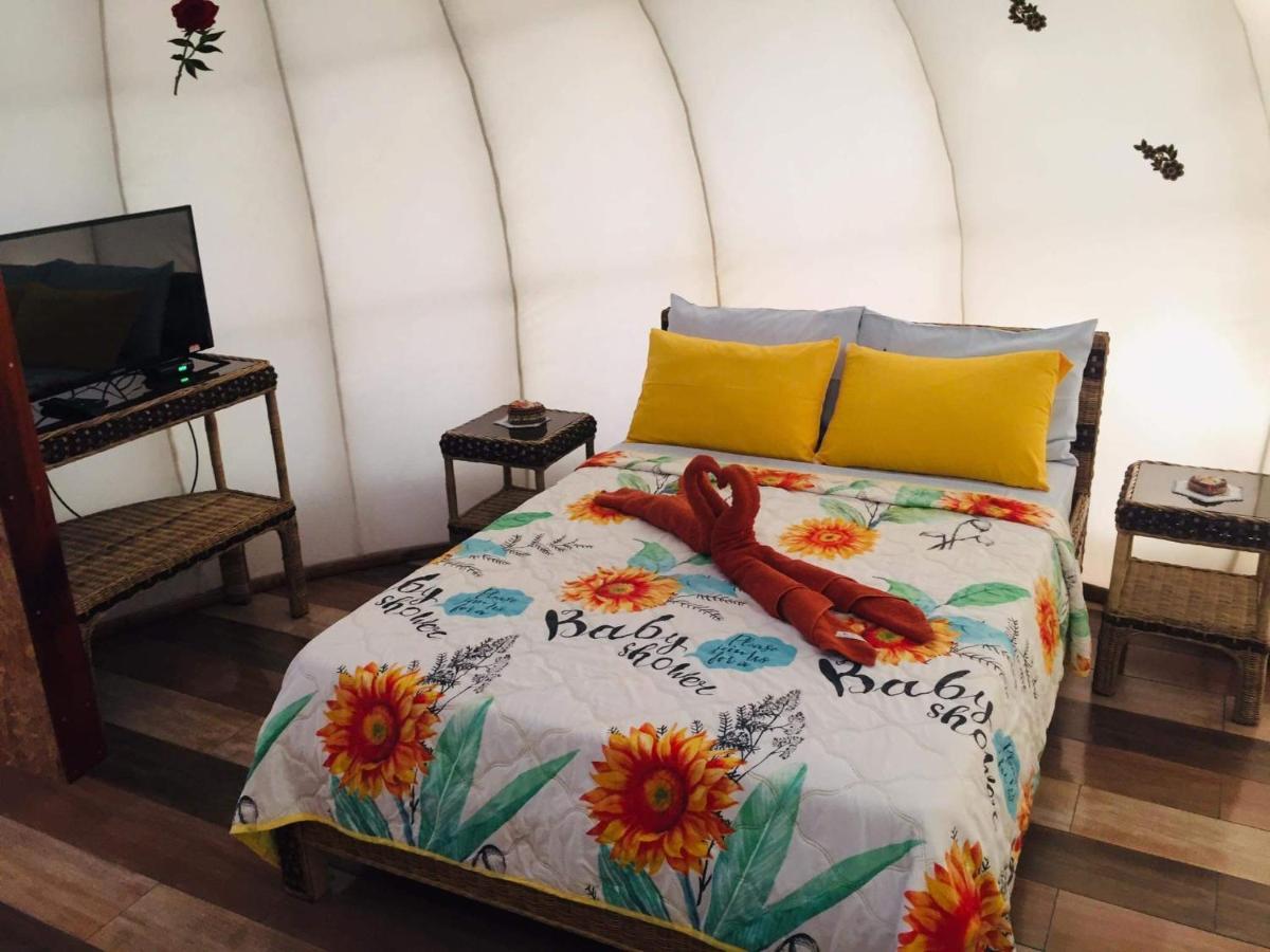 Shenanigans Glamping Resort Zamboanguita  Buitenkant foto
